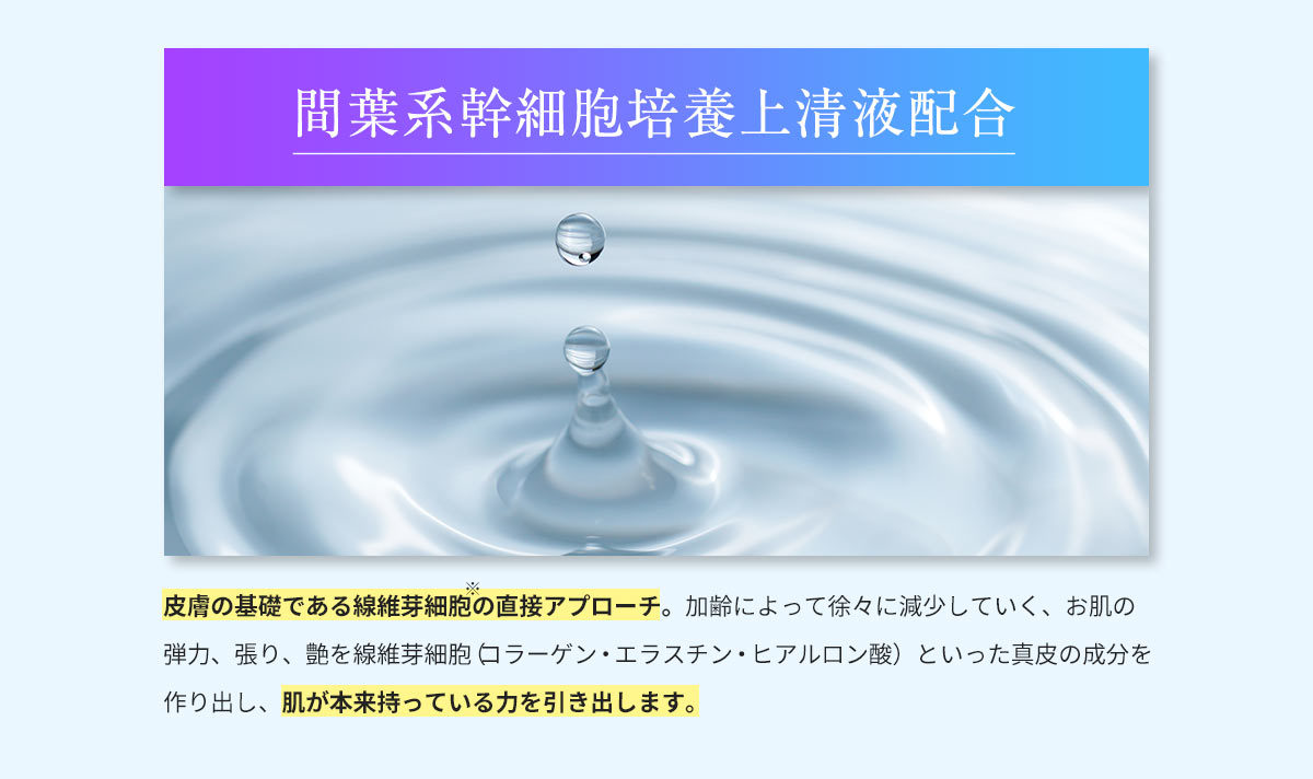 間葉系幹細胞培養上清液配合