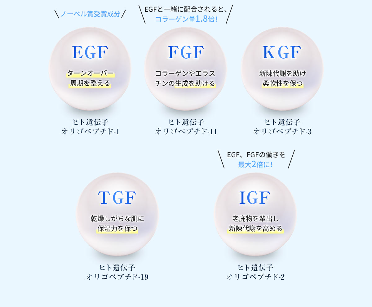 5つのグロースファクター